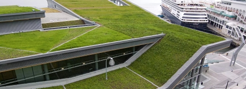 Telhado verde em Vancouver – Fonte: Flynn Group Co.